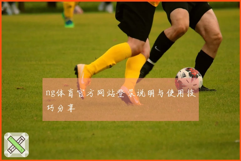 ng体育官方网站登录说明与使用技巧分享