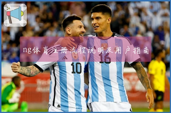 ng体育注册流程说明及用户指南