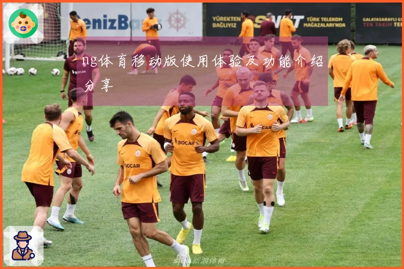 ng体育移动版使用体验及功能介绍分享