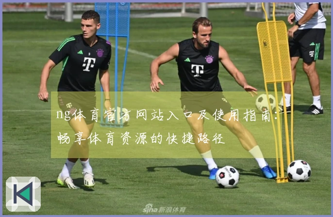 ng体育官方网站入口及使用指南：畅享体育资源的快捷路径