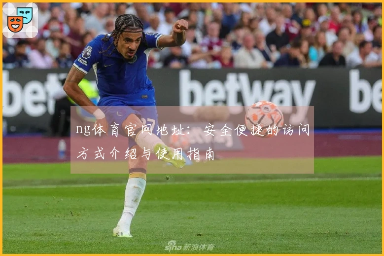 ng体育官网地址：安全便捷的访问方式介绍与使用指南